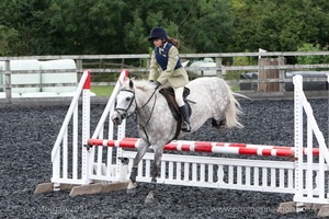 Class 6 - Fences not above 2'9